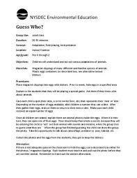 Guess Who Lesson Plan For Kindergarten 1st Grade Lesson Planet Kindergarten Lesson Plans Lesson Planet How To Plan