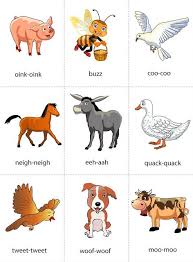 Animals Sound Flashcard Set Dengan Gambar Binatang Hewan Kartu