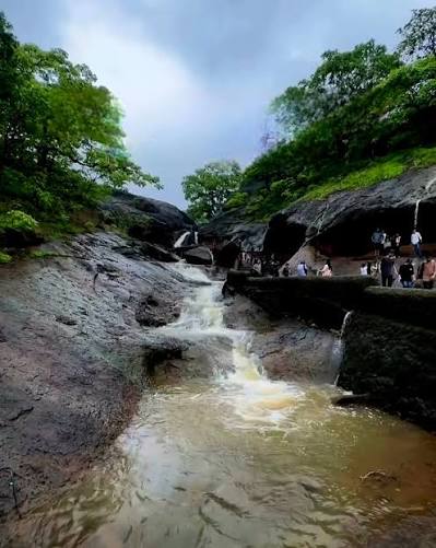 Sanjay Gandhi National Park in Monsoon 🌧 Mumbai monsoon isn't complete without a nature escape 🌧️💚 Sanjay Gandhi National Park and the ancient Kanheri Caves come alive during this season – misty