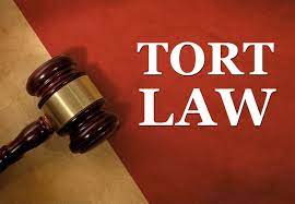 Tort insurance explained tort is a legal term that refers to a wrongful act that infringes on another person's rights and leads to civil legal liability. Tort Law Definition And Examples