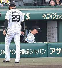 阪神連勝ストップ！DeNA竹田好投、大山ソロも及ばず - Imagen principal del artículo