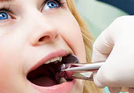 Dentist in Clarksburg WV