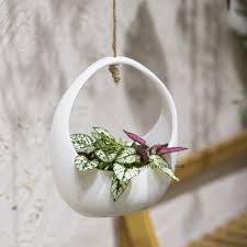 This simple white ceramic pot is perfect for a collection of small succulents or cacti. Small White Round Hanging Ceramic Flower Pot Basket Vertical Garden Decoration Pot Succulents Plants Holder Wall Ceramic Planter Ceramic Planter Plant Holdergarden Decorative Pots Aliexpress