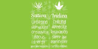 List kush names and pictures. Types Of Weed Learn The Difference Between Sativa And Indica Strains