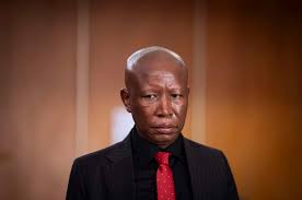 State calls Julius Malema's arguments in firearms conviction appeal absurd  | News24