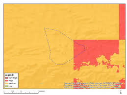 Image result for Plinthus karooicus