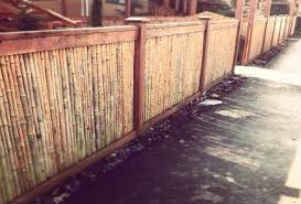 Upcycle Ceiling Fan Blades Into Giant Dragonflies Bamboo Fence Fence Decor Garden Fencing