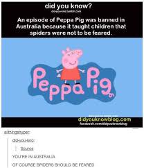 29 Times Australians Were The Realest On Tumblr Tumblr Funny Australia Funny Funny Posts