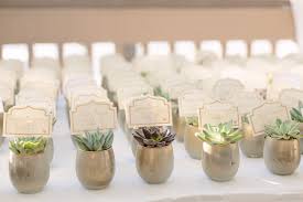 mini succulent table number place cards with ivory and gold