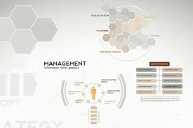 Management Infographics Icons Graphs Charts And