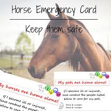 Horse Emergency Card Horse Home Alone Pet Care Kit Pet Emergency Kit By Petadvocatessociety On Etsy Pet Emergency Pet Emergency Kit Pet Care