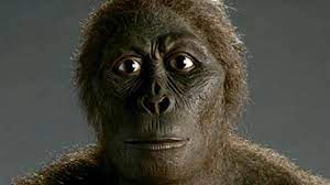 Der mensch ist die einzige rezente art der gattung homo. Geschichte Die Evolution Des Menschen Geolino
