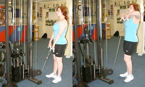 You'll be able to do cable crossovers, set up a high pulley for exercise such as triceps extensions and lat pull downs, and set up the low pulley for exercises such as rows and bicep curls. Cable Machine Wikipedia