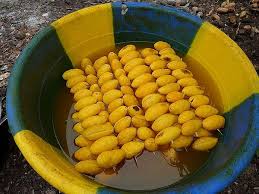 Image result for Raphia sese