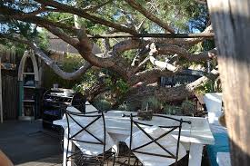 Couleurs De Jardin La Croix Valmer Pasen 2012 Picture Of Couleurs Jardin La Croix Valmer Tripadvisor