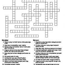 Tts Pkn Bab 5 Kerjasama Dalam Berbagai Bidang Kehidupan Pdf 408go4rnowqx