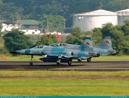 Pesawat F 5 Tiger Ii Memasuki Masa Transisi Jakartagreater Pesawat Militer Angkatan Bersenjata