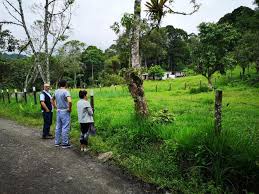 Lotes San Francisco Bienesonline Colombia