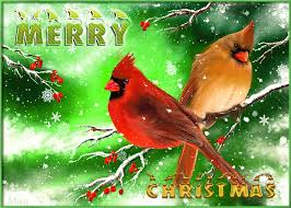 Bird Is The Word Gif Https Encrypted Tbn0 Gstatic Com Images Q Tbn 3aand9gcqwcucj8butbcber13rfmgaz0j07bvmjcvxsa Usqp Cau