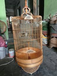 Branjangan merupakan burung yang memiliki suara dengan varian unik. Sangkar Burung Branjangan Cukit Akrilik Desain Kerajinan Tangan Karya Seni Di Carousell