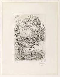 Bildergebnis für Roel D'Haese