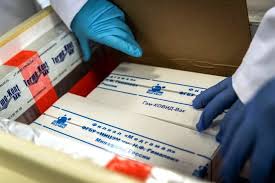 135,448 likes · 3,477 talking about this. Russia Says Sputnik V Coronavirus Vaccine 95 Effective Arab News