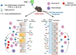 Image result for Annickia