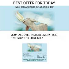 Weight gainer feed for goats | mineral mixture by p&s agro mumbra. P S Agro Psagro2 Twitter