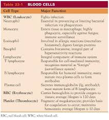 blood cell chart red blood cells platelets plasma white