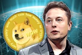 It should be related to dogecoin. Elon Musk Trolls The Crypto Community With Dogecoin Meme Bitcoin Ft