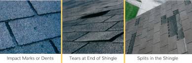 Download in under 30 seconds. How To Identify And Deal With Hail Roof Damage