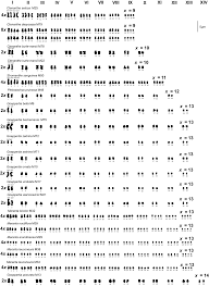 Image result for Sarcophrynium brachystachyum