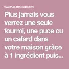Plus Jamais Vous Verrez Une Seule Fourmi Une Puce Ou Un Cafard Dans Votre Maison Grace A 1 Ingredient Puissant Creme Irlandaise Truc Et Bricolage Cafards