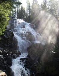 2 0 1 3 A N N U A L R E P O R T B L A C K F O O T C H A L L E N G E