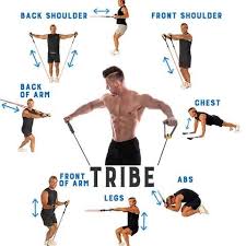 Ultimate Home Workout Set Pretty Little Sale In 2021 Back And Bicep Workout Band Workout Back Workout