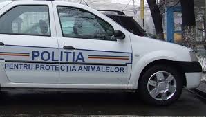 Consiliul national al audiovizualului (cna) a scos la concurs mai mult de 1.250 de posturi didactice si de cercetare au fost scoase la concurs in universitatile de stat, vineri, odata cu publicarea listei locurilor vacante in monitorul oficial. Se Fac Angajari Pentru PoliÈia Animalelor Ipj Arad Scoate 18 Posturi La Concurs