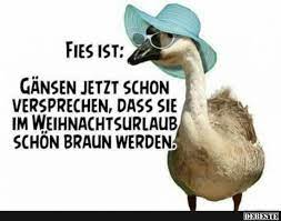 Dolar, euro, döviz kurları ve finans dünyasına ait ne varsa türkiye'nin en çok aratılan kaynağı mynet finans'ta. Besten Bilder Videos Und Spruche Und Es Kommen Taglich Neue Lustige Facebook Bilder Auf Debe Lustige Spruche Bilder Lustige Spruche Lustige Zitate Und Spruche