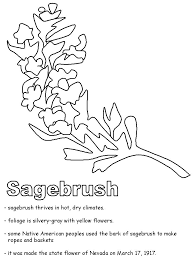 Idaho state flower coloring page | woo! Idaho Travel Symbols
