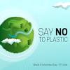 Natural, sustainable & plastic free. Https Encrypted Tbn0 Gstatic Com Images Q Tbn And9gctdv6a56e Lwb Q Ckvgeexc2lrf1wkneb5ptbyvubm1xgqjyhv Usqp Cau