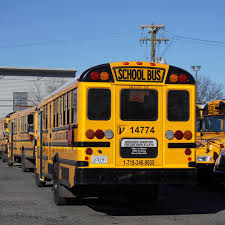 Image result for School Bus Yellow 2019 Transit