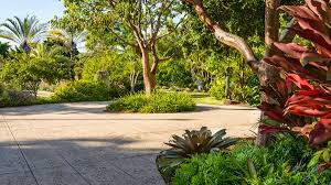 868 #18 of 76 things to do in miami beach. Miami Beach Botanical Garden The Cultural Landscape Foundation