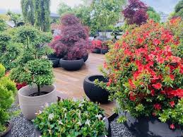 Bau von wegen und terrassen. Gartencenter Hoffmann Ag Linkedin