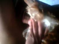 German zoophille avec cochon : Free Porn Video Zoophilia Aporntv Page 12