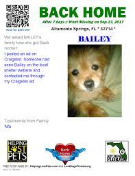 Try the craigslist app » android ios cl. Louisville Craigslist Pets Lost And Found Nar Media Kit