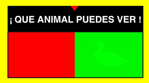 ¡prepárate para reír con tus amigos, pasarlo bien, y establecer hilarantes nuevos récords en uno de nuestros muchos juegos divertidos gratis, en línea! Divertidos Resueltos Juegos Mentales Ejercita Tu Cerebro Con Divertidos Juegos Mentales Resuelve El Crucigrama En Ingles Decidiendo Que Letra Pertenece A Que Numero Kerriez Frost