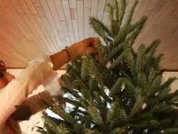 How To String Christmas Tree Lights Youtube