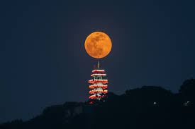 It will be the largest full moon of 2020. The Most Beautiful Photographs Of The Last Supermoon Of 2020 Conde Nast Traveller India International