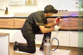 Pest control company sprays pesticides and place poisonous baits to eradicate the cockroaches. Things To Do After Pest Control Treatment Vwb Blog