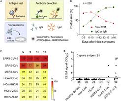 Bounty hunter legacy 1500, 2500, 3500 metal detector comparison; Molecular And Immunological Diagnostic Tests Of Covid 19 Current Status And Challenges Sciencedirect