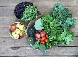 Csa Half Share 9 21 9 25 Clockwise From Top Left Purple Beans Green Beans Cabbage Arugula Winterbor Kale Brocc Purple Beans Plum Tomatoes Broccoli Rabe